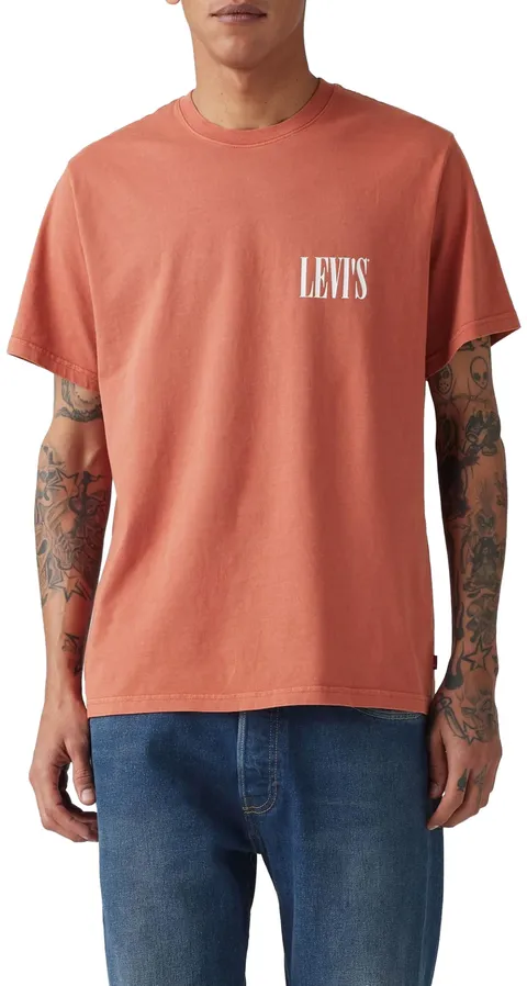 Levi's SS Relaxed Fit Tee, T-Shirt Uomo, Ssnl Serif Logo Etru, M