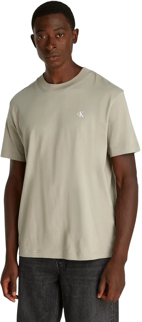 Calvin Klein Uomo T-Shirt Maniche Corte Painted Tee con Scollo Rotondo, Beige (Laurel