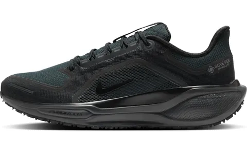 Nike FQ1356-001 Pegasus 41 Gore-Tex Women Donna, Black/Black-Anthracite EU 41