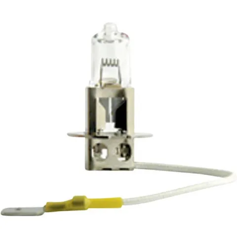 Philips Lampadine H3 MasterDuty 24V 70W 13336MDB1