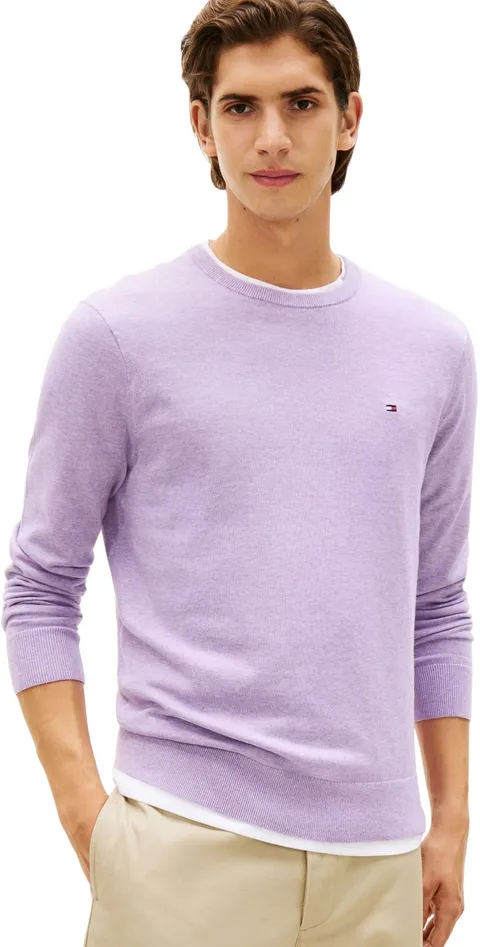 Tommy Hilfiger Maglione da Uomo Essential Ssnl Cotton Crew Neck MW0MW39999, Viola, L