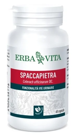 ERBA VITA Integratore Alimentare di Spaccapietra, 60 Capsule, per la funzionalità delle