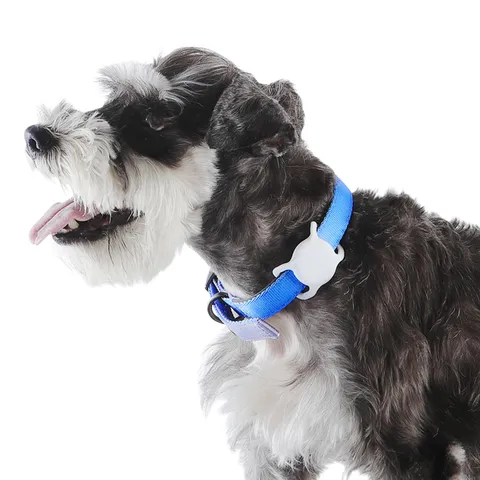 Amazon Basics Supporto per AirTag per Collare Cane, Misura Universale, 2 Pezzi