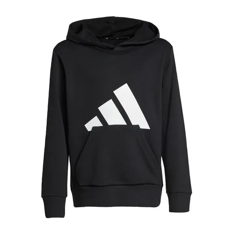 adidas Unisex - Bambini Essentials BIG LOGO Hoodie, Black / White, 11-12 Years