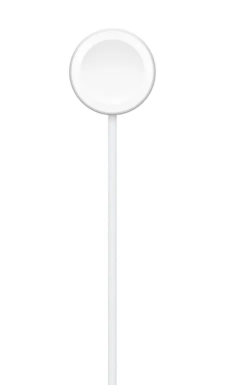 Apple Cavo magnetico USB-C ricarica Apple Watch 1 m