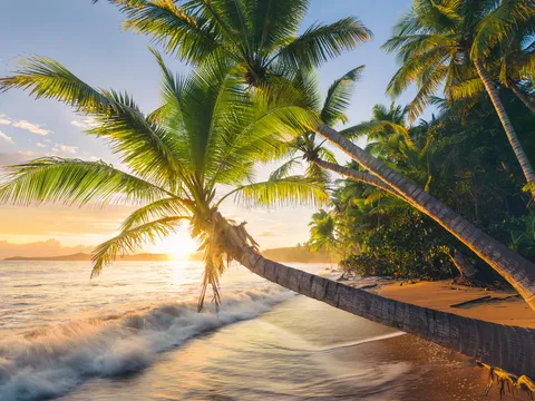 Ravensburger - Puzzle 1500 Pezzi Spiaggia Segreta, Puzzle Adulti 80x60cm