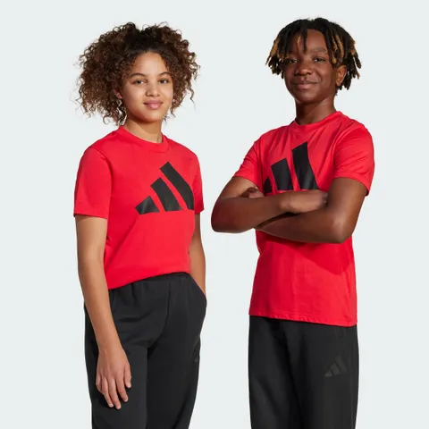adidas Unisex - Bambini Essentials BIG LOGO T-Shirt, Pure Ruby / Black, 11-12 Years