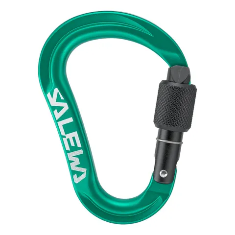 Salewa Ortles HMS Moschettone S