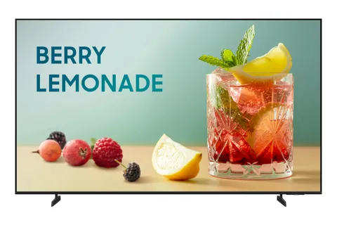 Samsung Business TV BEF-H 65" 4K HDR10+