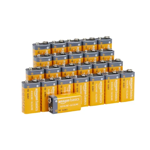 Amazon Basics, 24 batterie alcaline, 9 V/6LR61, durata di 5 anni, per rilevatori di