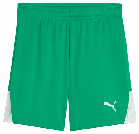 PUMA TeamLIGA26 - Pantaloncini Jr
