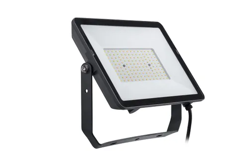 Philips Projectline Proiettore LED 100W Luce Fredda