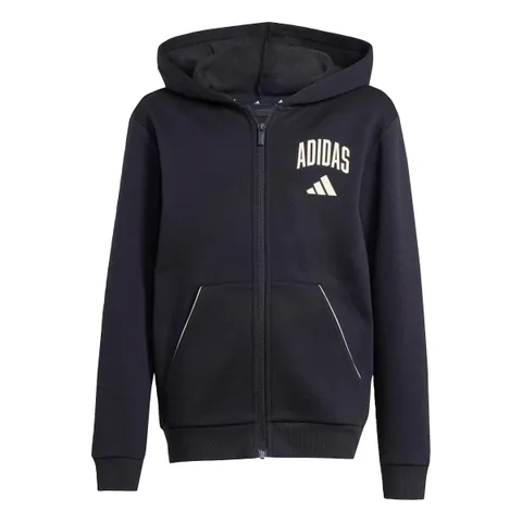 adidas Mixte Enfant Seasonals Collegiate Typography Hoody, Black/off White, 7-8 Years