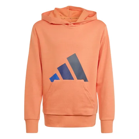adidas Mixte Enfant Essentials Big Logo Hoodie, Dusky Orange/Team Royal Blue/Dark