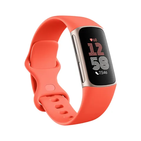 Fitbit Charge 6 Activity Tracker Alluminio