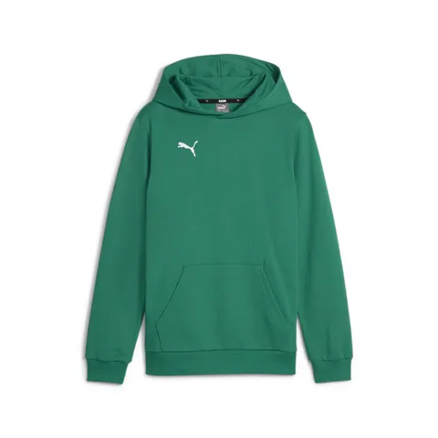 Puma Felpa con Cappuccio da Ragazzo Teamgoal Casuals