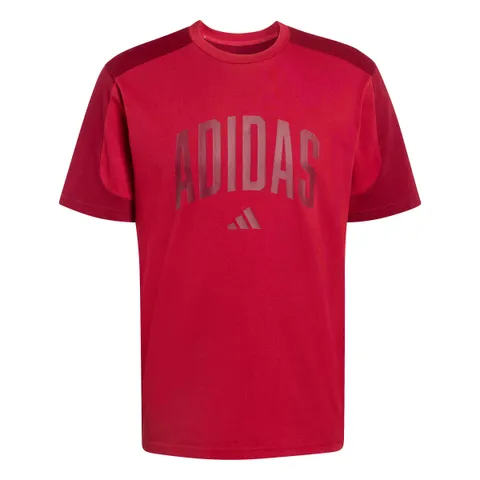 adidas Homme Collegiate T-Shirt, Active Maroon/Collegiate Burgundy, L