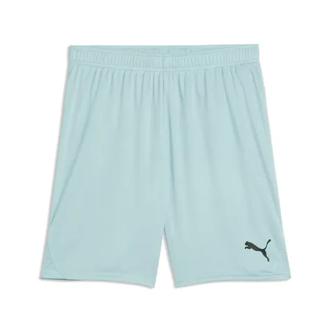 PUMA teamGOAL Pantaloncini
