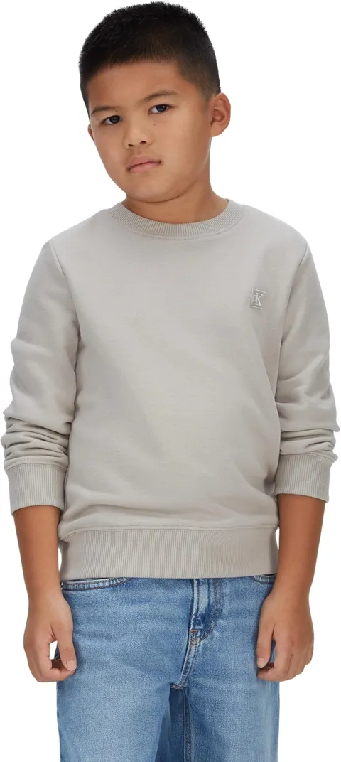 Calvin Klein Bambini Unisex Felpa Monogram Mini Badge in Spugna, Grigio (Ancient Marble)