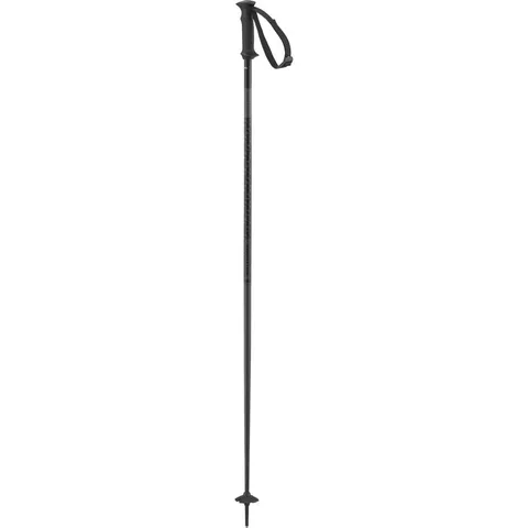 Salomon Polar Access, Alpine Poles WSE, Black, 100