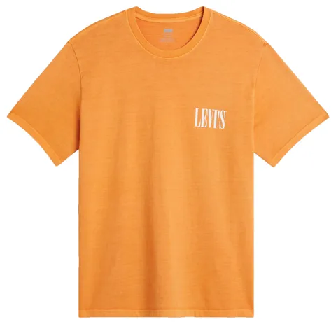 Levi's SS Relaxed Fit Tee, T-Shirt Uomo, Ssnl Serif Logo Gold, S