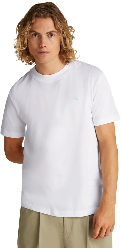 Calvin Klein Uomo T-Shirt Maniche Corte Painted Tee con Scollo Rotondo, Bianco (Bright White), XXXL