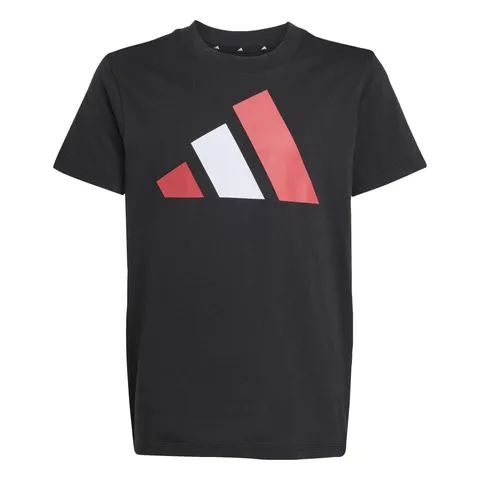 adidas Mixte Enfant Essentials Big Logo T-Shirt, Black/Pure Ruby/White, 15-16 Years