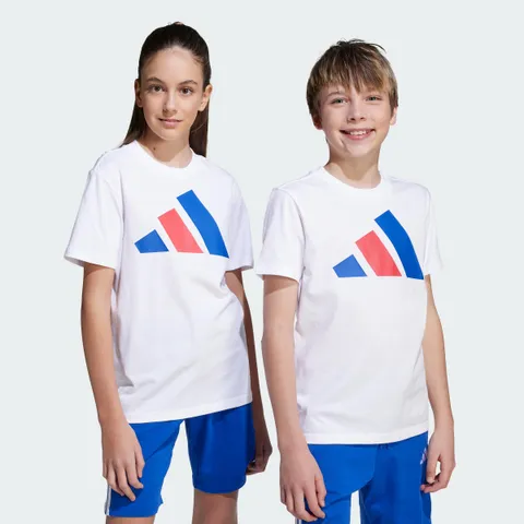 adidas Mixte Enfant Essentials Big Logo T-Shirt, White/Royal Blue/Red, 13-14 Years