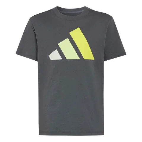 adidas Unisex - Bambini e Ragazzi Essentials Big Logo Shirt, Grey Six/Orbit Grey/Frozen