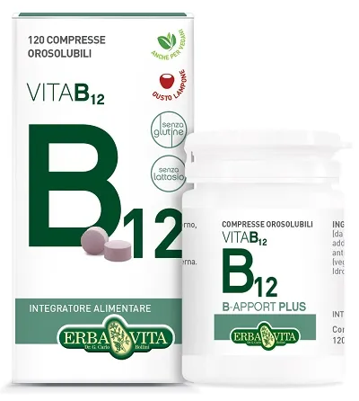 Erba Vita Integratore Alimentare B Apport Vitamina B12-120 Capsule in Pilloliera