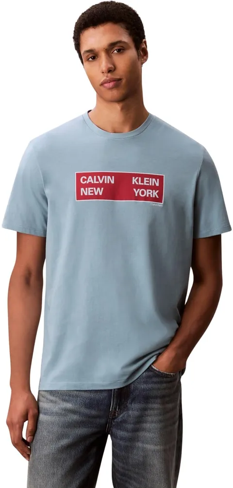 Calvin Klein Uomo T-Shirt Maniche Corte Box Graphic Tee Regular Fit, Blu (Smoke Blue), S