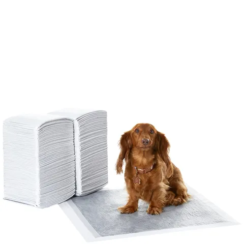 Amazon Basics Tappetini al carbone con controllo degli odori per l'addestramento di cani