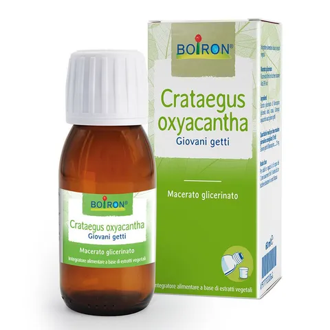 Estratti di Piante Crataegus oxyacantha (Biancospino) - Integratore Alimentare