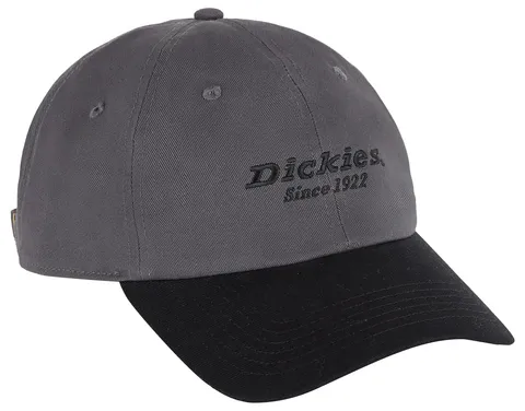 Dickies Unisex - Adulto, Cappello in twill, Grafite, OS
