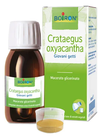 Estratti di Piante Crataegus oxyacantha (Biancospino) - Integratore Alimentare