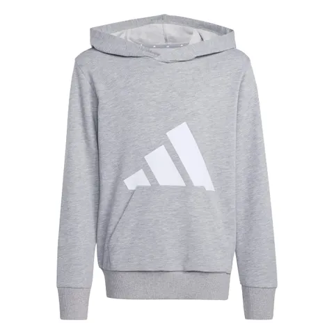 adidas Unisex - Bambini e Ragazzi Essentials Big Logo Hoodie Sweatshirt, Medium Grey