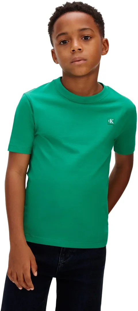 Calvin Klein Bambini Unisex T-Shirt Maniche Corte Mono Mini Badge in Cotone, Verde (Lush Meadow 18-5845 TCX), 16 Anni