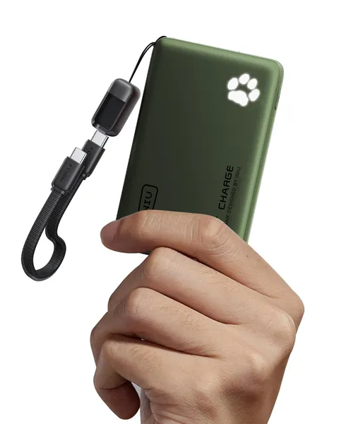 INIU Power Bank, Piccolo 45W Ricarica Rapida 10000mAh Powerbank con Cavo USB C