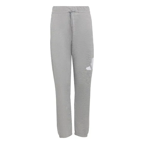 Adidas Mixte Enfant Essentials Big Logo Pants, Medium Grey Heather/White, 11-12 Years