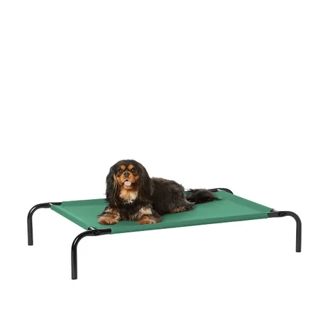 Amazon Basics Lettino rialzato rinfrescante per animali domestici Cane - S, Verde