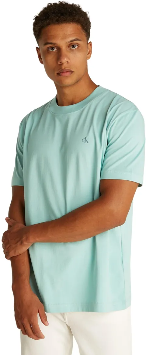 Calvin Klein Uomo T-Shirt Maniche Corte Painted Tee con Scollo Rotondo, Blu (Fresh Mint)