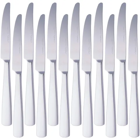 Amazon Basics Coltelli in acciaio inox con bordo squadrato, confezione da 12, Argento