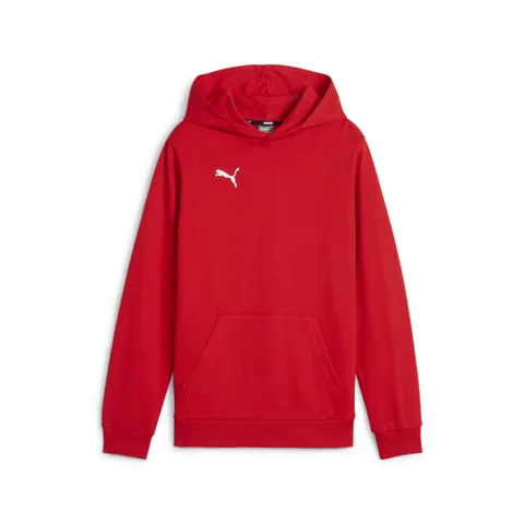 Puma Felpa con Cappuccio da Ragazzo Teamgoal Casuals