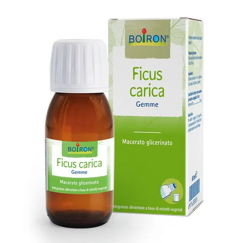 Estratti di Piante Ficus Carica Gemme - Integratore Alimentare, Ingredienti 100% di