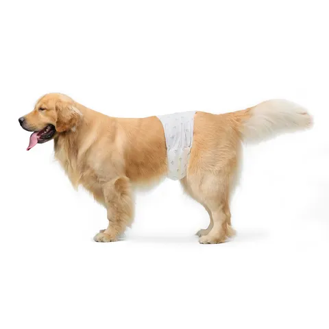Amazon Basics Pannolini usa e getta per cani maschi, L, Confezione da 30, Bianco