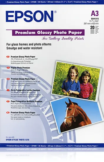 Epson C13S041315 Carta fotografica A3 premium 255g