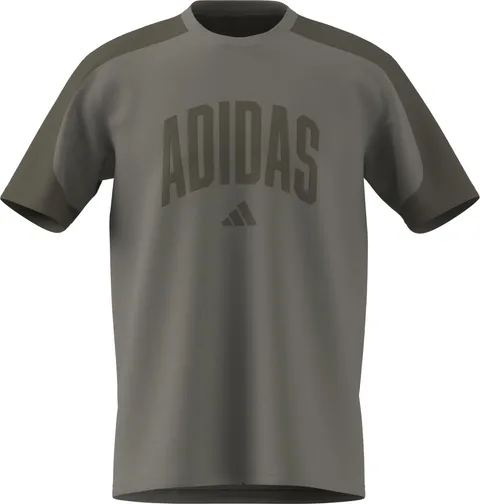 adidas Homme Collegiate T-Shirt, Silver Pebble/Olive Strata, S
